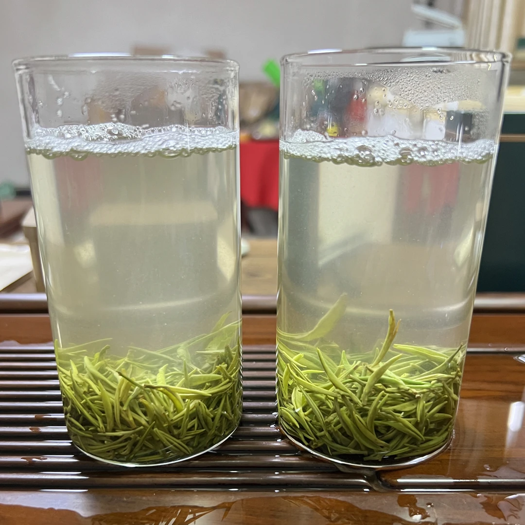 谢掌门信阳原产地高山毛尖绿茶小芽尖浓香耐泡新茶