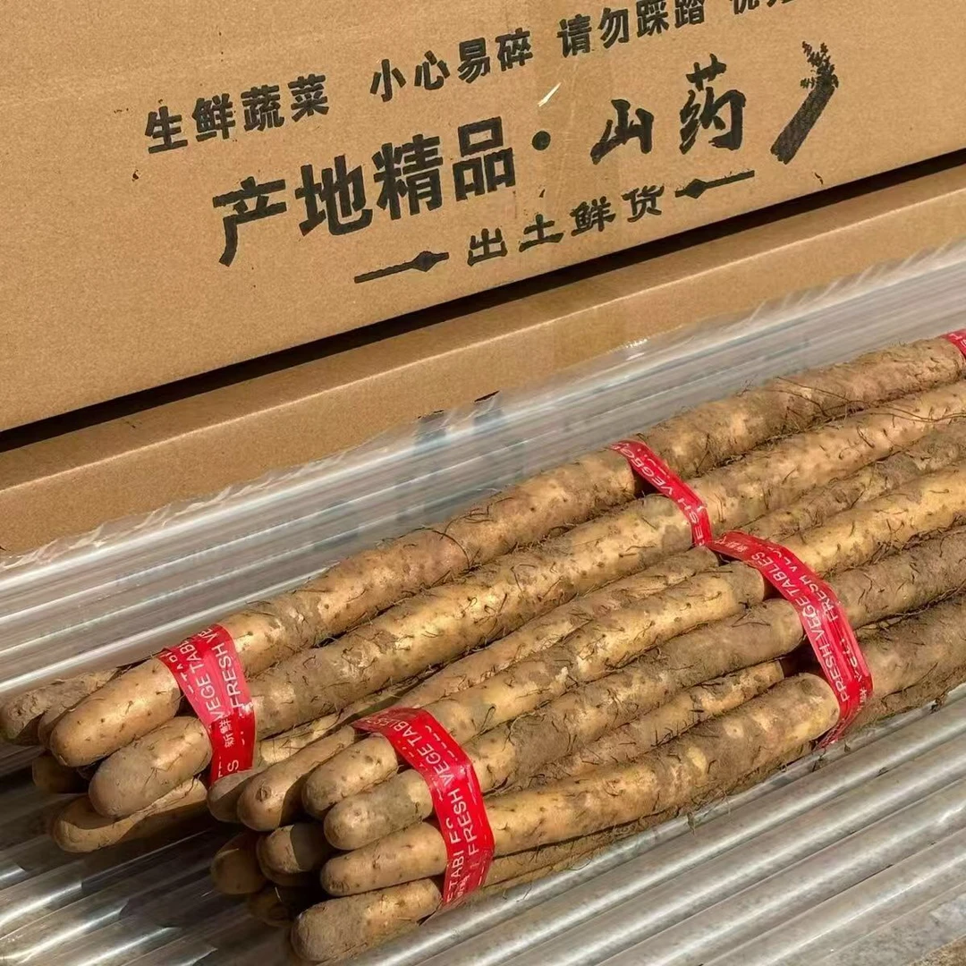 新鲜正宗垆土铁棍山药50-70cm