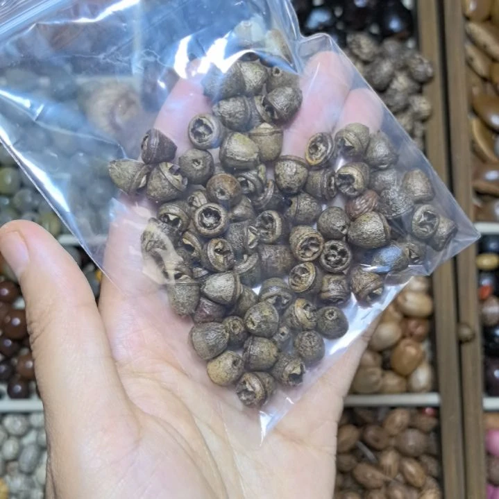 菩提根/象牙果吊坠罗*宝