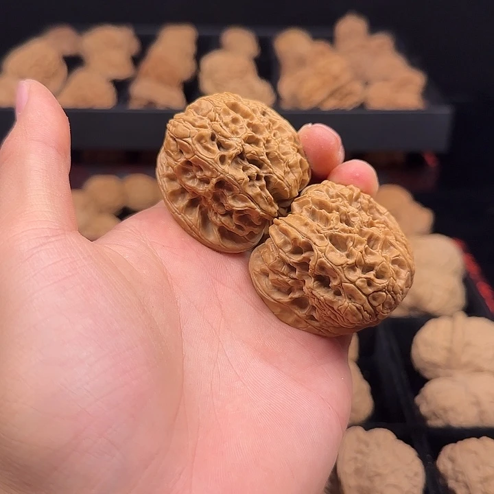 大***子龙脊菩提吊坠啊啊啊啊啊啊啊暴雪4