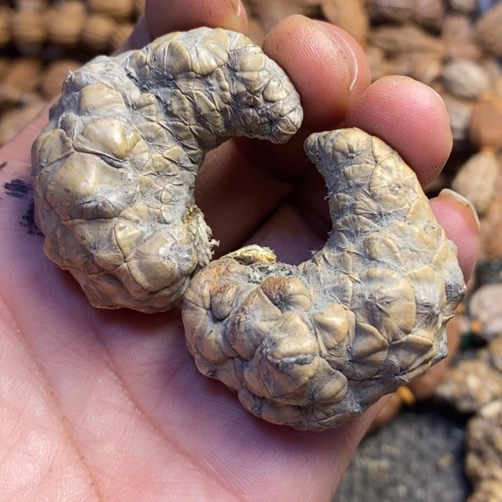 雨****吊坠文玩核桃东北特产214