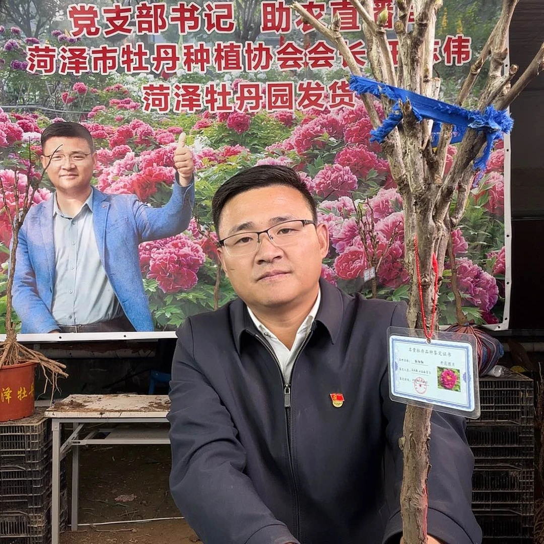 完全开放11111111111111