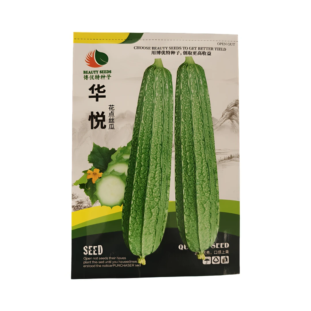 耐寒华悦带花丝瓜，20几天来瓜瓜长35-40公分，节节有瓜65～70粒左右