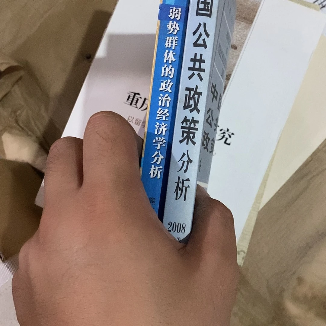 中国公共政策分析加上弱势群体