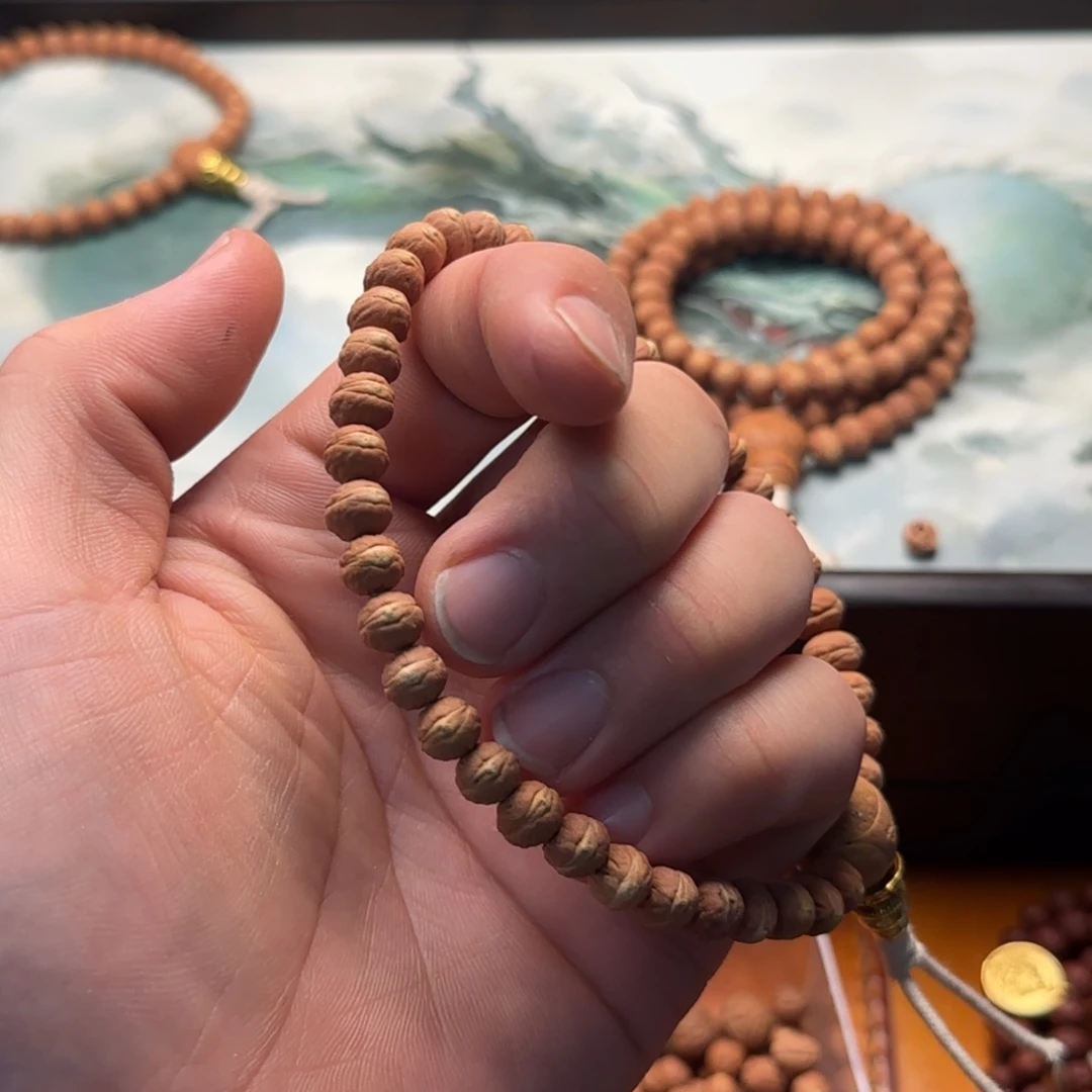 A****凤眼菩提吊坠酸枣核凤眼菩提