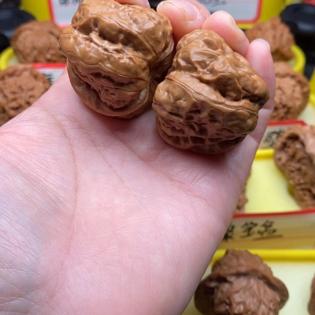 菩提籽类蛤蟆头蛤