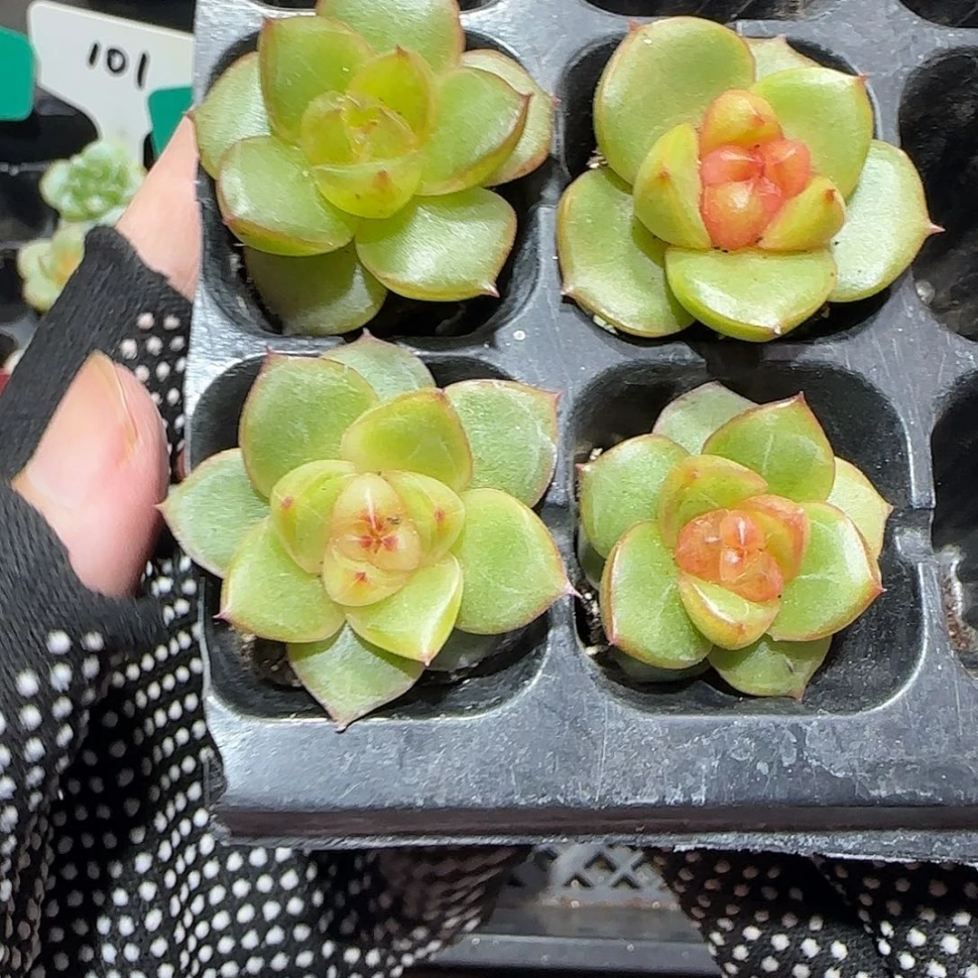 哈哈哈哈哈哈哈哈哈