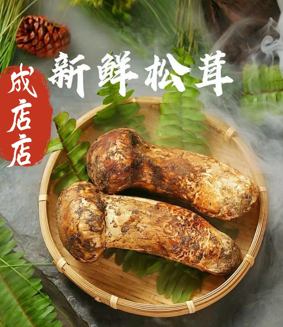 【顺丰空运】松茸鸡枞菌七彩菌菇汤包鹿茸菇羊肚菌干巴菌见手青榴莲