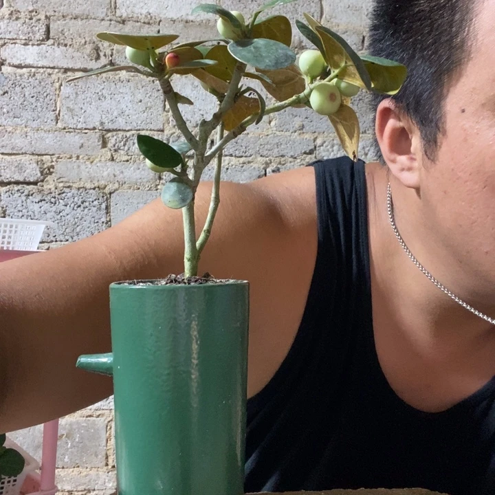 完全开放退款拉黑一物一拍198