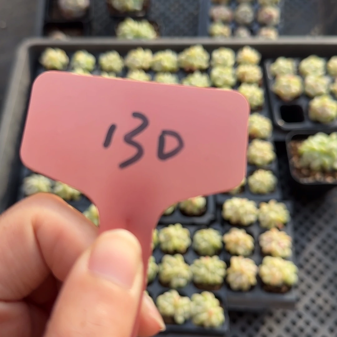 130运费哈哈哈哈哈哈