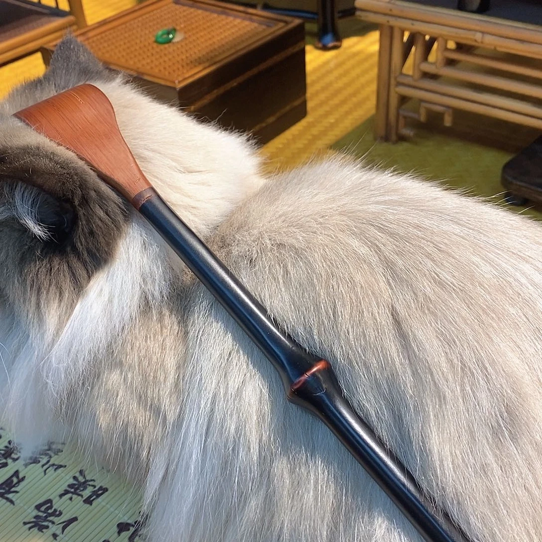 筇竹痒痒挠挠挠挠