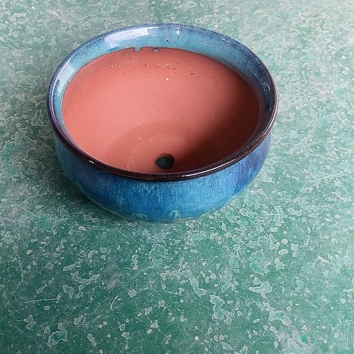 红糖20。。。。。。11。。。。。