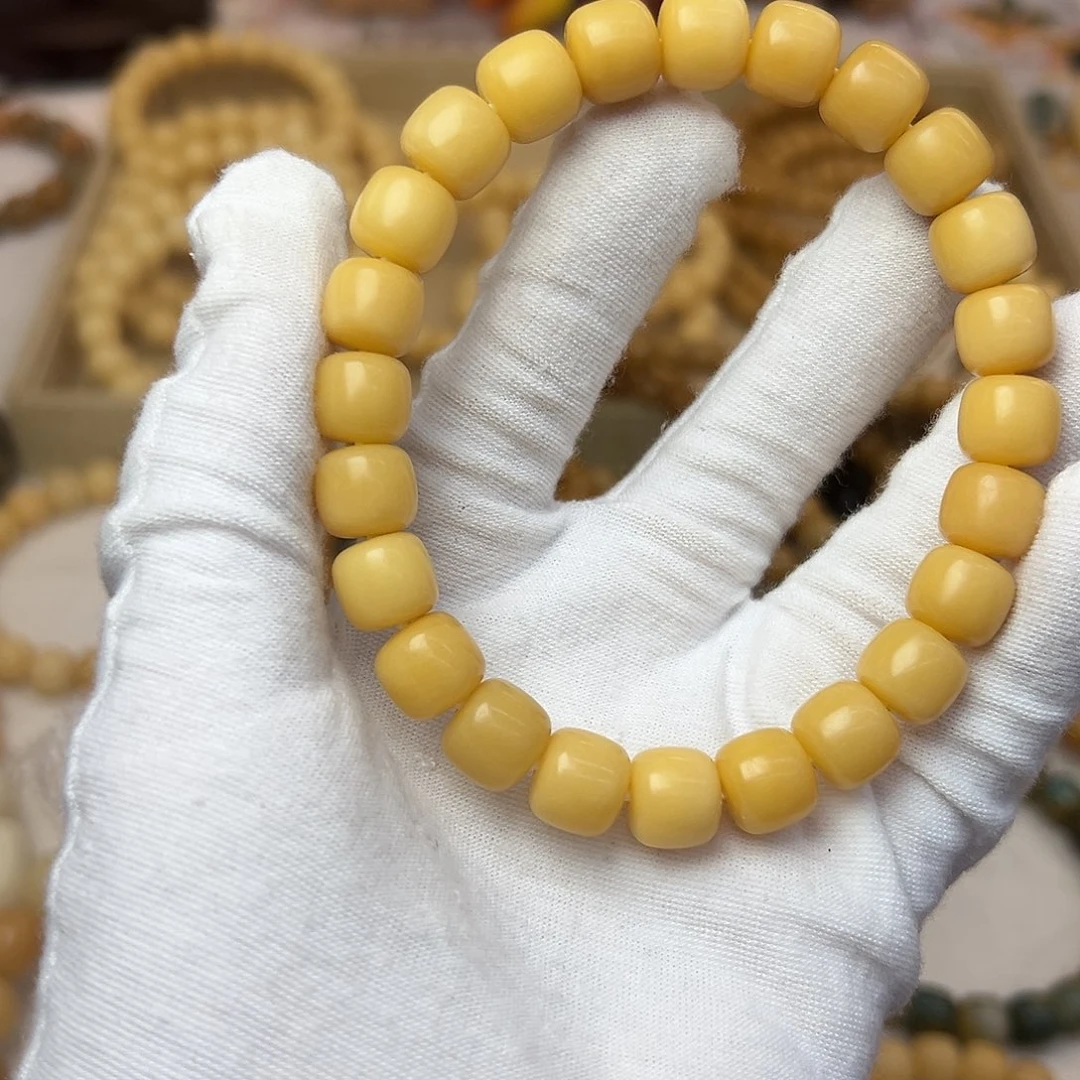 吊坠菩提根/象牙果11干磨树王281