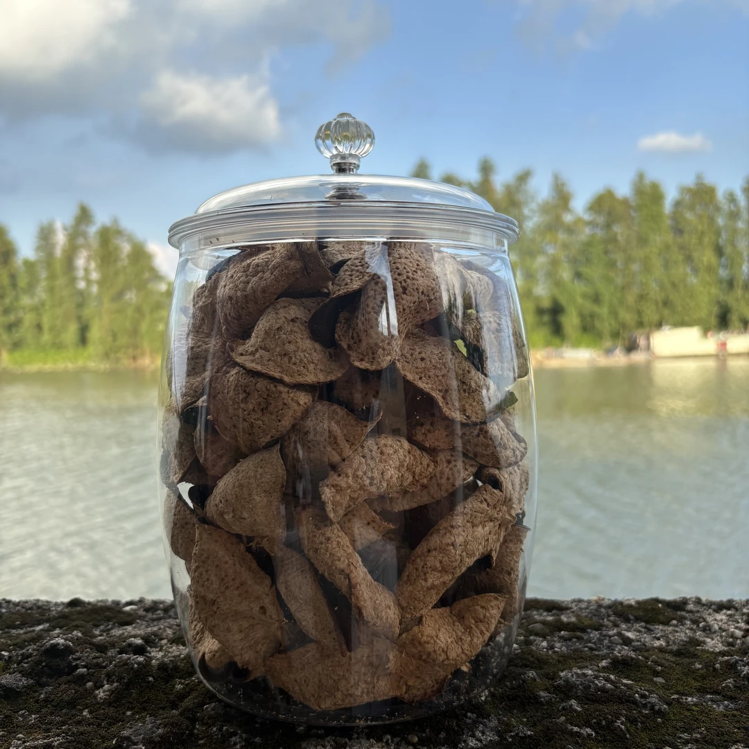 【梅子香】2020年茶坑产区圈枝大红陈皮新会陈皮pc罐装300g