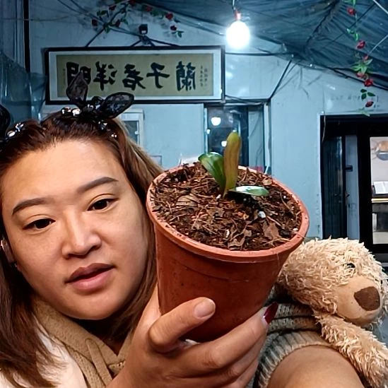 1***月10月血兰一颗69！！！