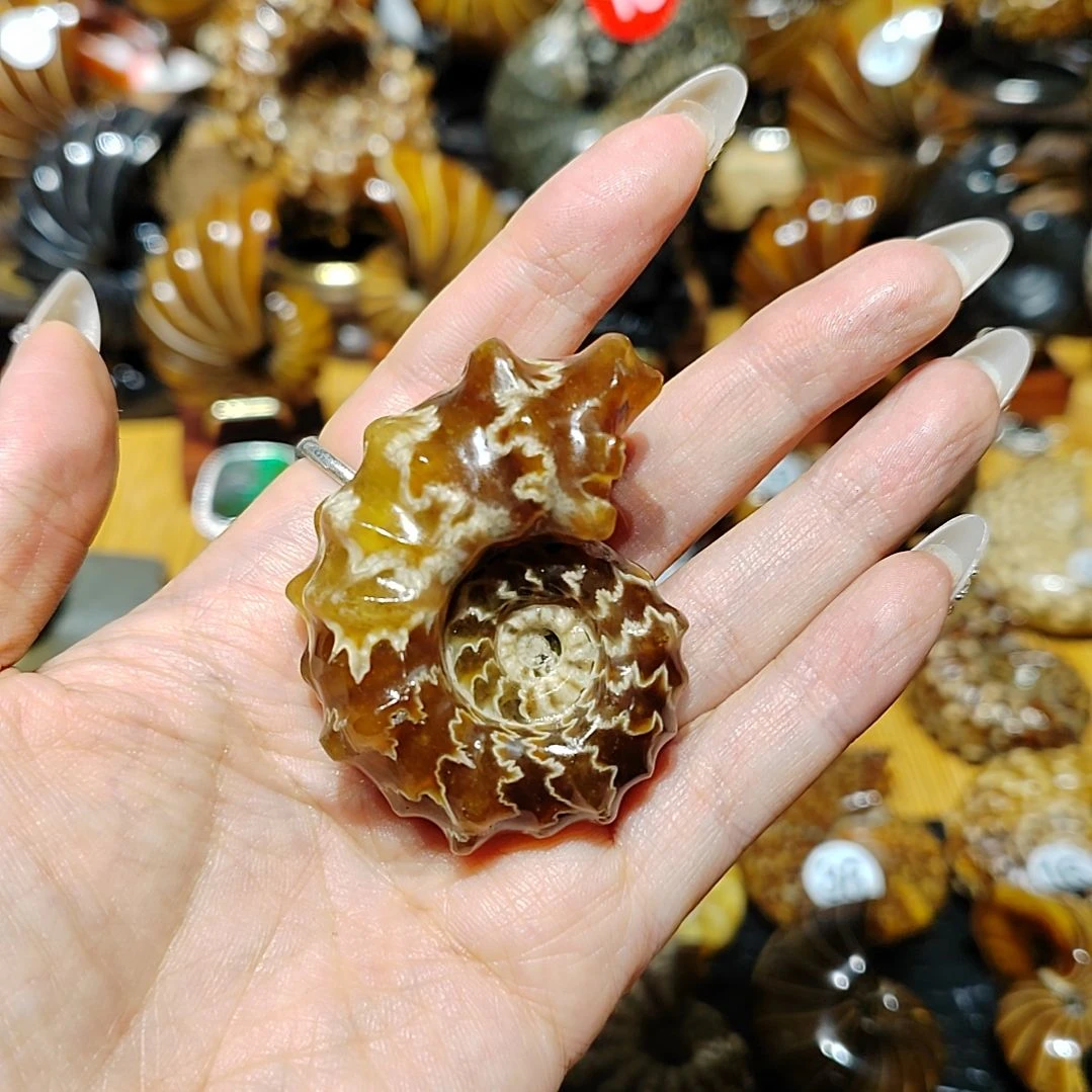 金*玉海螺化石手把件吊坠