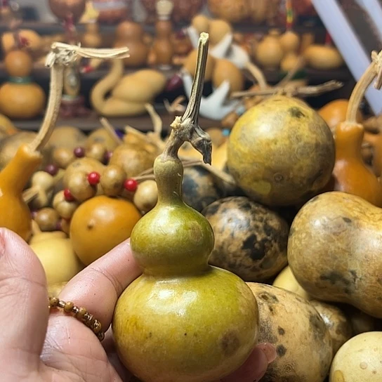 向****光葫芦葫芦葫芦葫芦