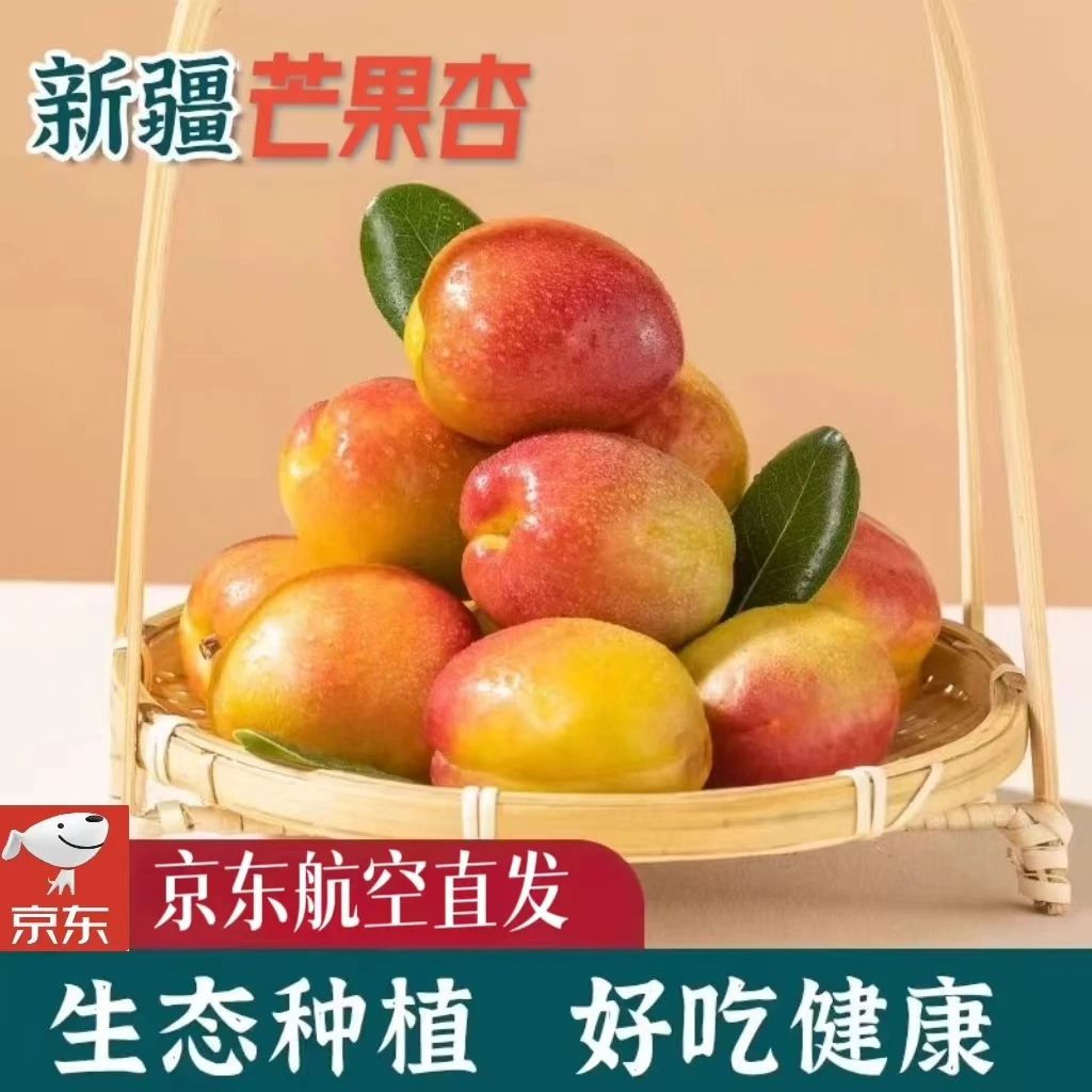 新鲜应季水果新疆芒果杏酸甜可口清凉特产