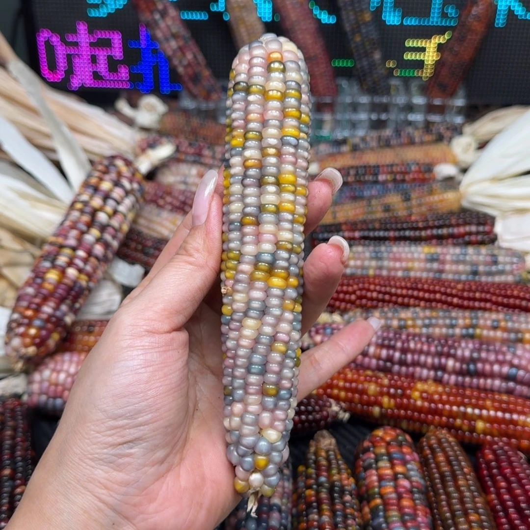 柏香籽/百香籽吊坠苏**r