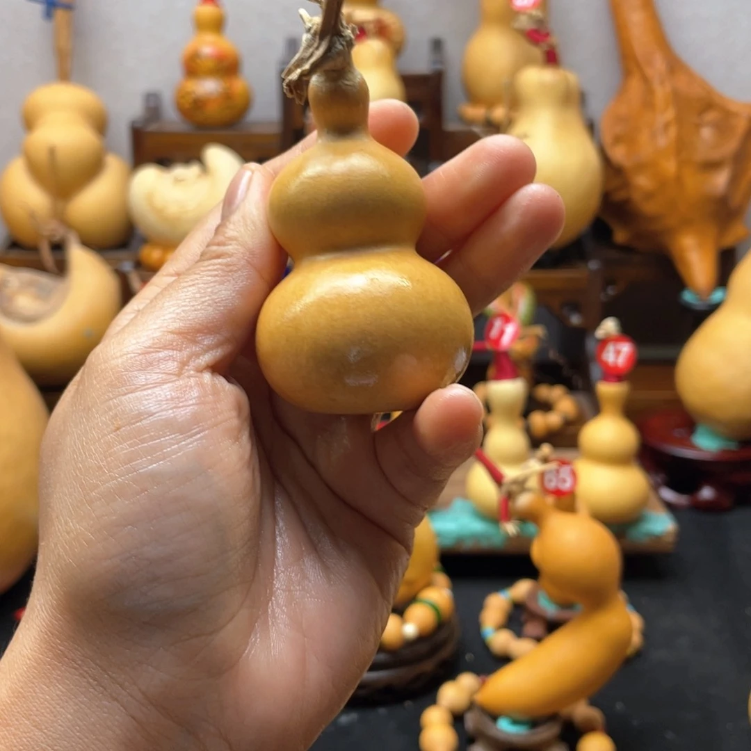 对****家大自然的秘密第十一节的秘密第二