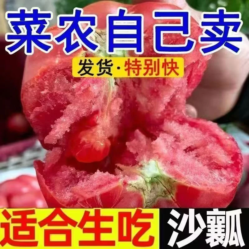 正宗河南中牟沙瓤番茄西红柿新鲜酸甜水果自然成熟生吃A