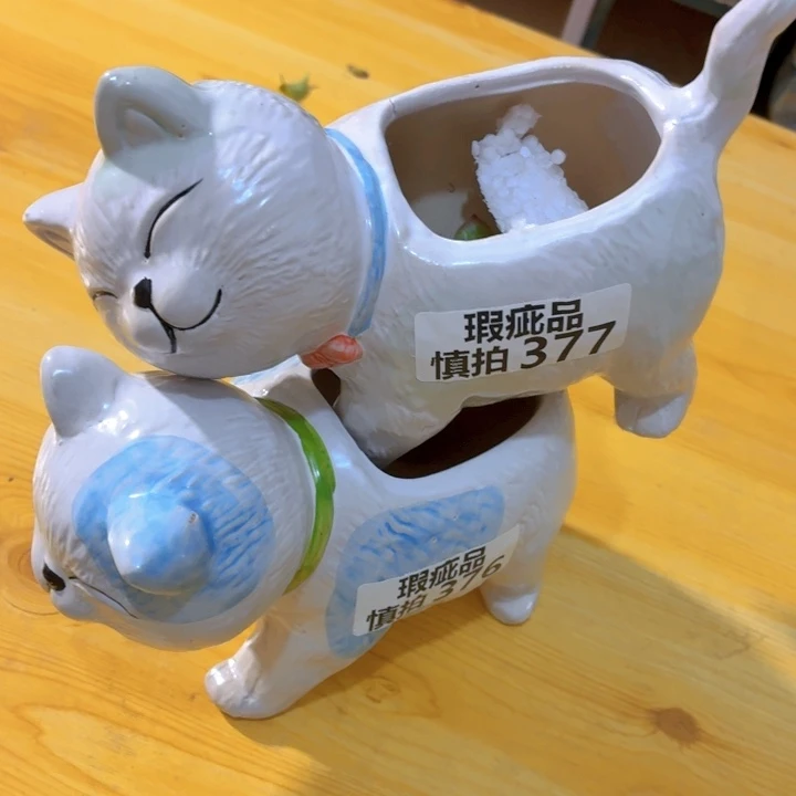 多肉花盆满15包邮