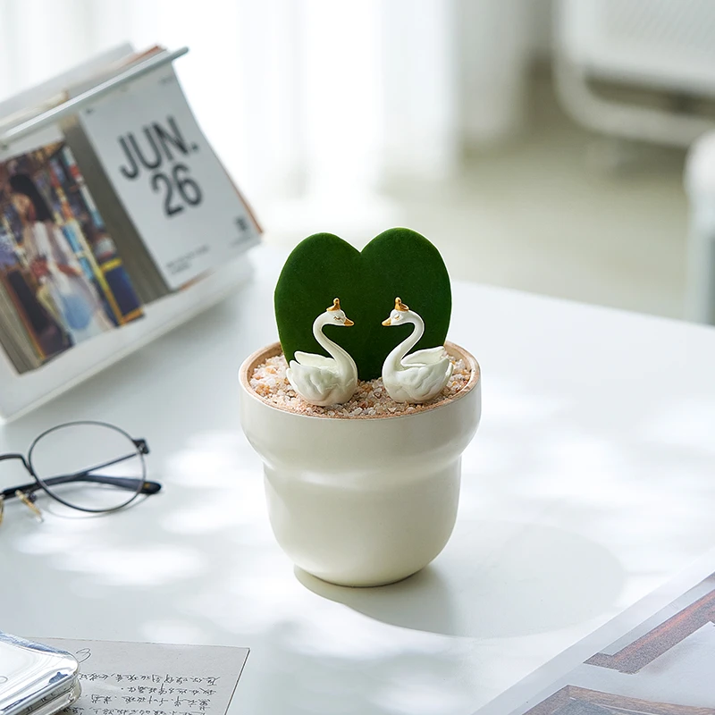 多肉植物室内桌面一片心小盆栽办公室绿植好养七夕520情人节礼物