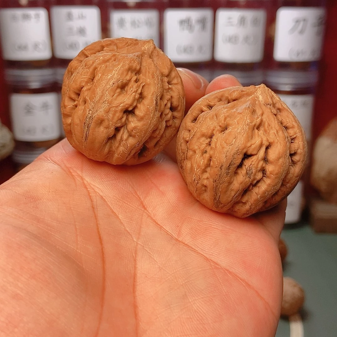 文玩核桃把件橙****?霸王龙