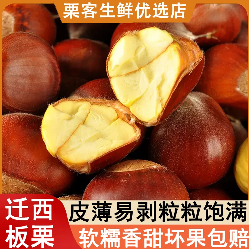 2025年新货正宗河北迁西老树油栗板栗粉糯香甜精选新鲜生栗子批发