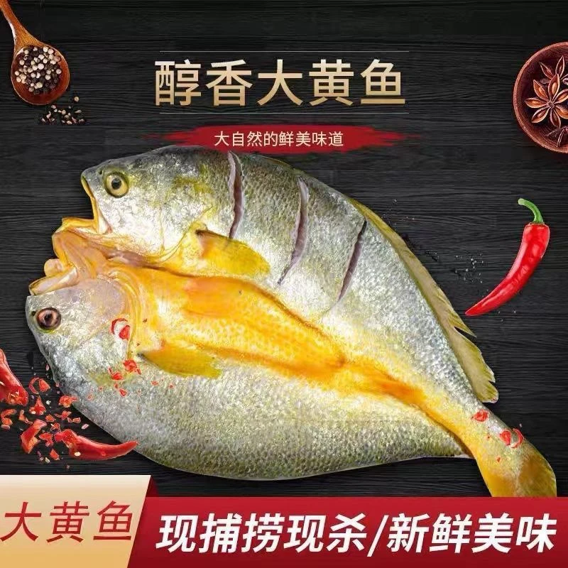 林蓝螺宁德霞浦黄鱼鲞正宗三去大黄鱼清蒸腌制新鲜冷冻4条*250g条