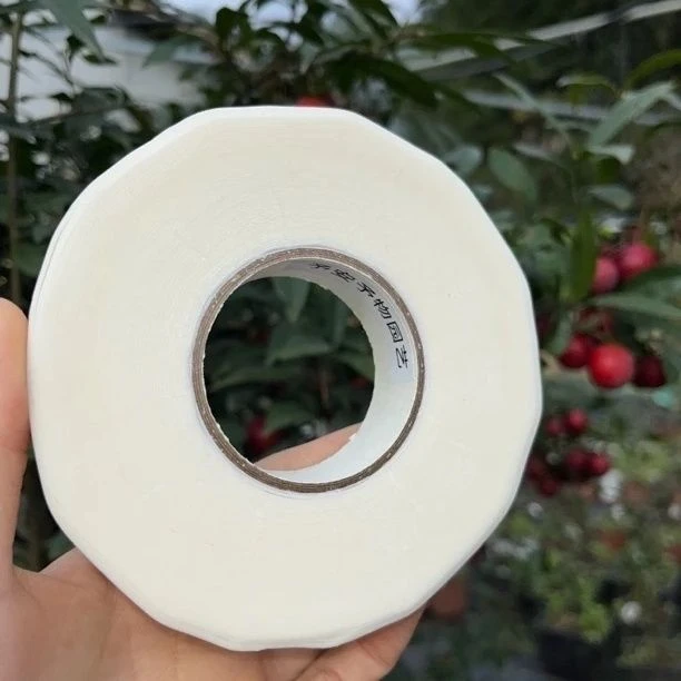 糯米纸嫁接膜可以自动突破芽点免拆膜自粘免打结嫁接神器10米/卷