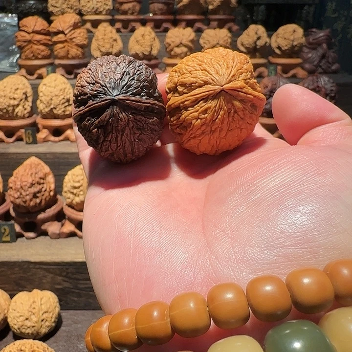 Z***z核桃云铁阴阳象甲38尺桩高52