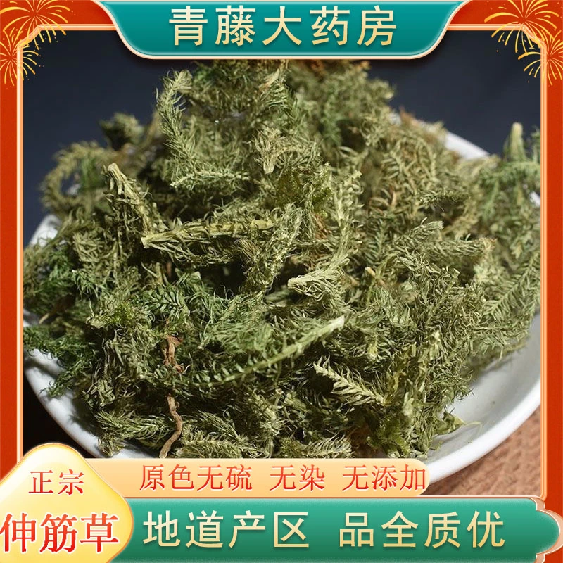 【青藤大药房直售】伸筋草 正宗伸筋草