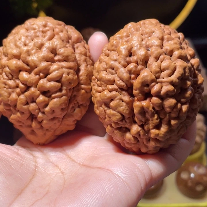 桃核把件疙瘩龙金刚菩提