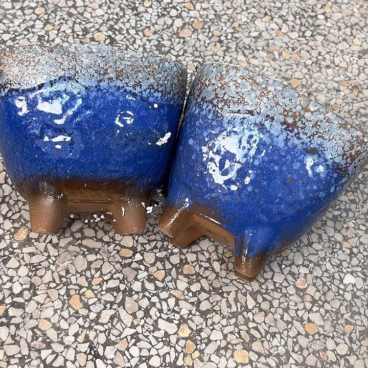 紫砂花盆口17高14。。。。。。。。。。。。。