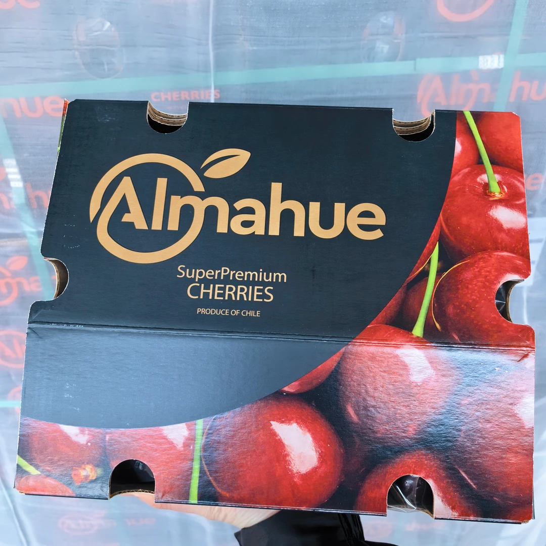 黑武士 4JDD 桑提娜智利空运进口车厘子 净重1-5斤 内附果径卡