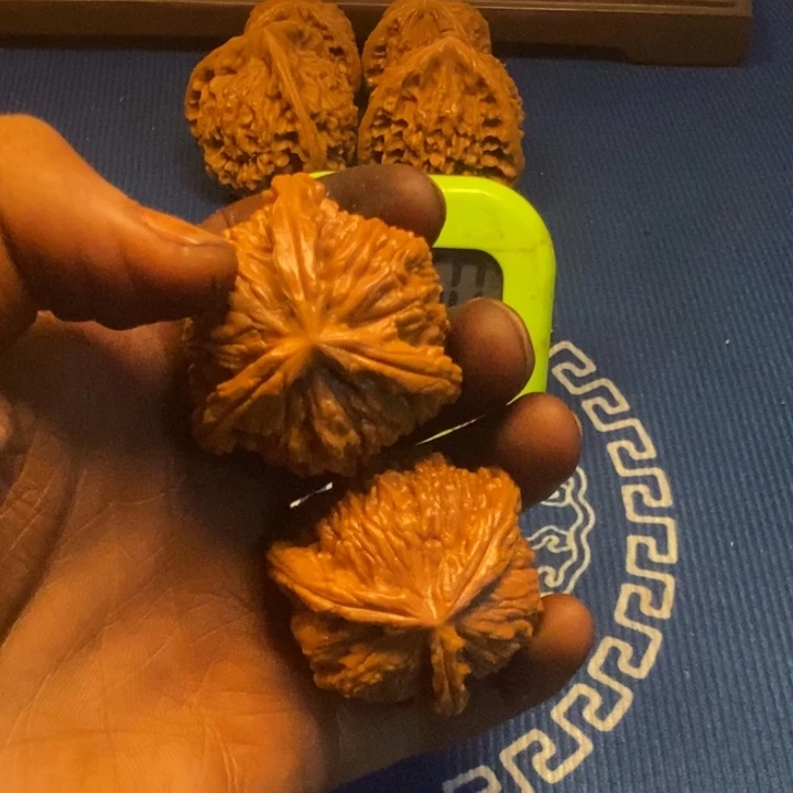 大***威文玩核桃把件三棱白奔白狮子