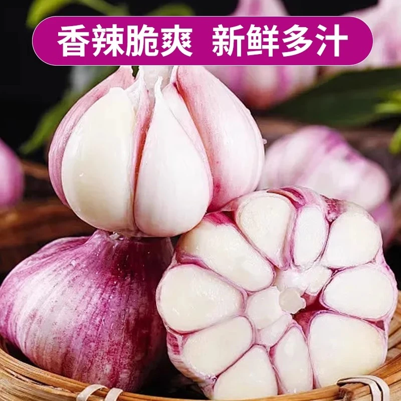 【新蒜】A新鲜大蒜云南紫皮大蒜多瓣蒜湿大蒜分蒜做腊八蒜 5斤