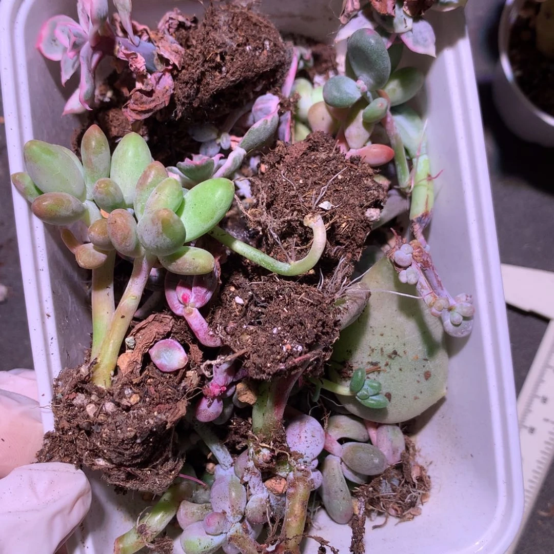 木***子不售后哈哈哈哈哈哈哈