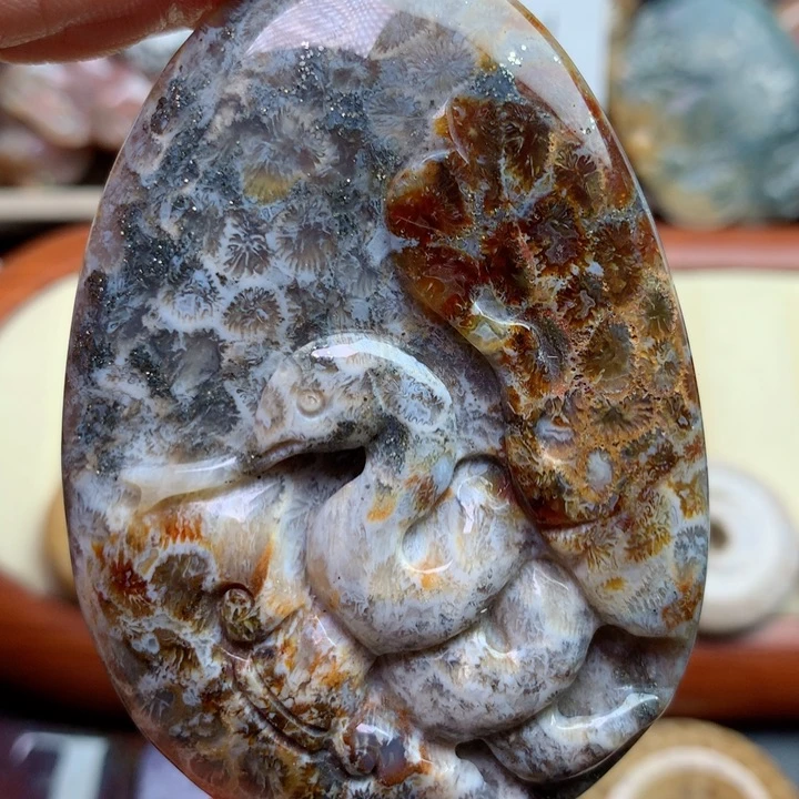 硅化珊瑚（珊瑚玉）颈饰未镶嵌