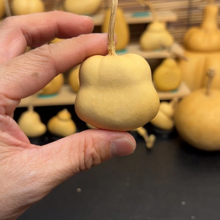 老****）葫芦娃娃娃娃娃娃娃娃娃