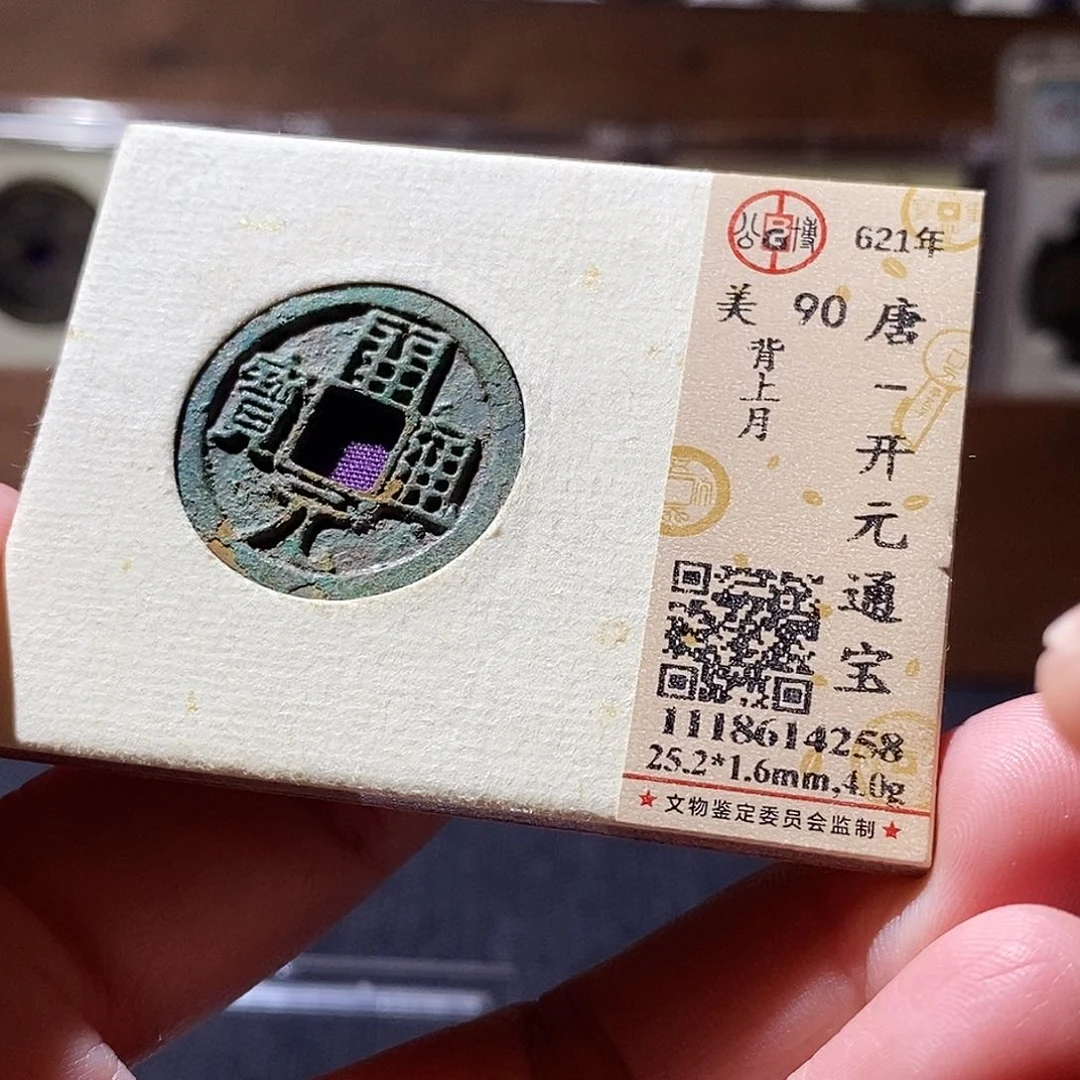 贝壳6 恭喜发财恭喜发财