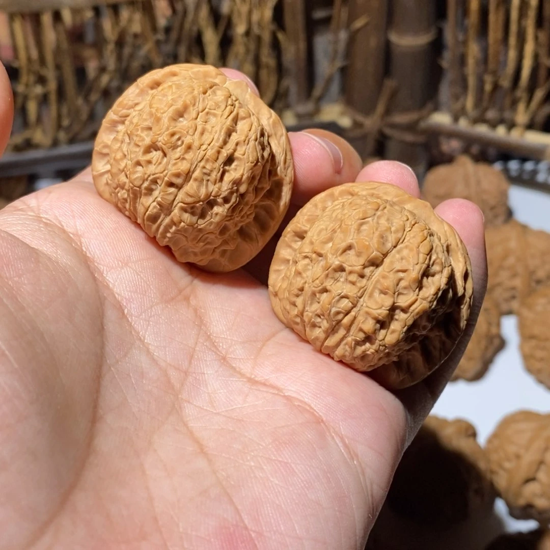 文玩核桃把件37尺全品血麒麟