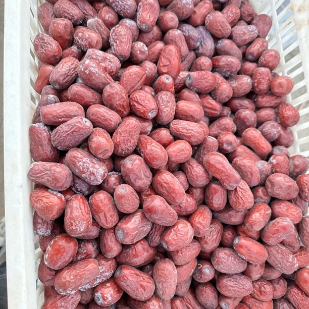 福利新疆 特产和田大枣混装七到9成干3.5-4.5cm大果产地直发带土