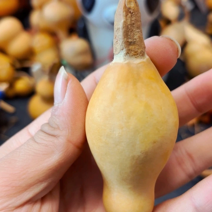 洛****力8888888888888888