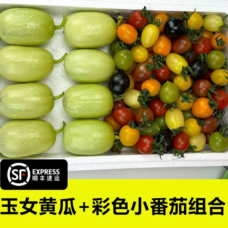 七彩小番茄+玉女小黄瓜彩色小西红柿拇指小黄瓜新鲜水果现摘现发