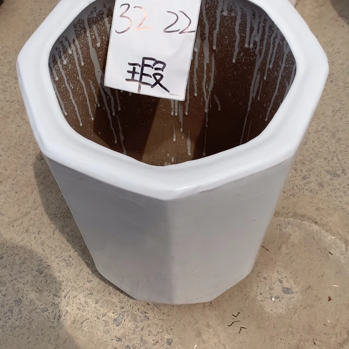 花盆里的小猫咪们都好可爱啊哈哈好