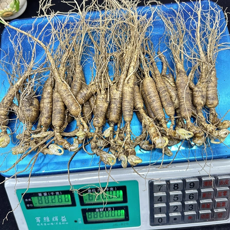 张赢堂长白山十多年林下参半斤装鲜人参泡酒煲汤