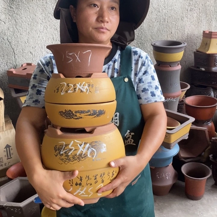 紫砂花盆紫砂花盆