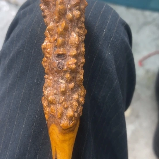 大***子杂色豆（科檀/科特迪瓦檀木）